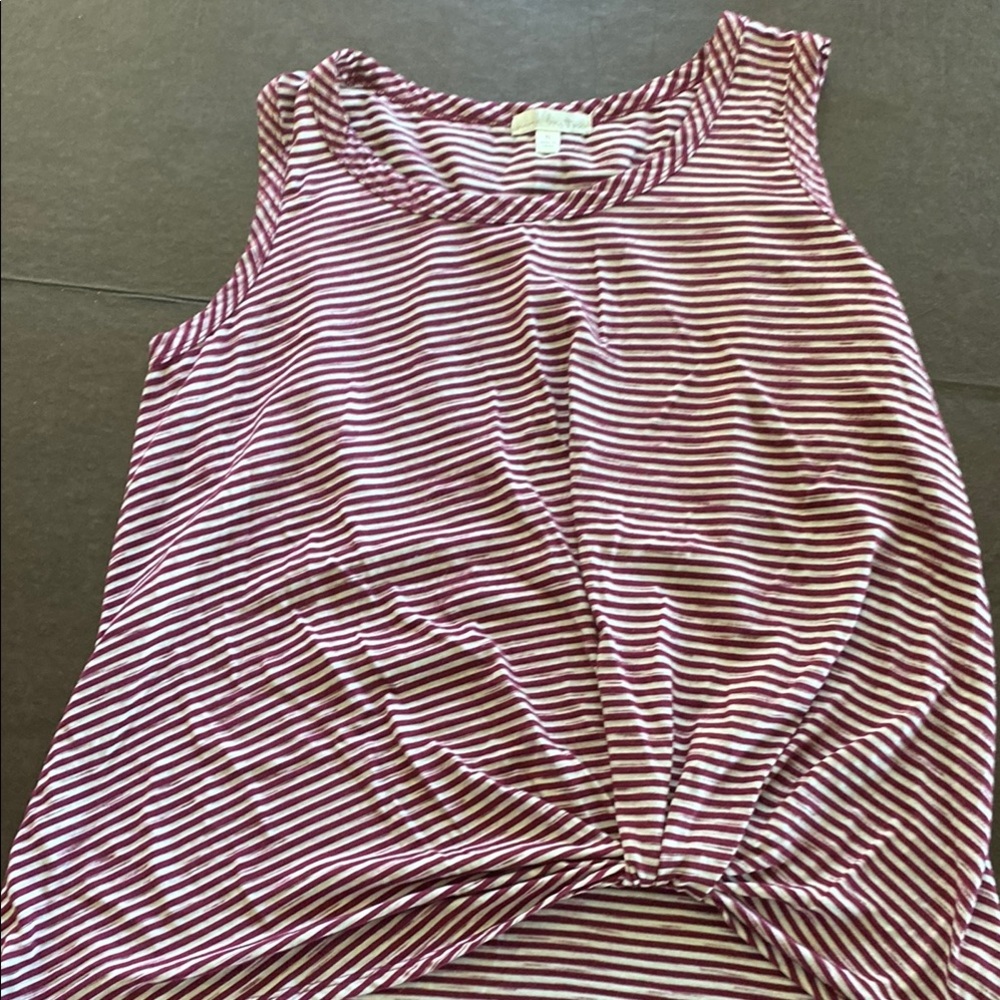 Nine Britton Burgundy and White Striped Tank Top